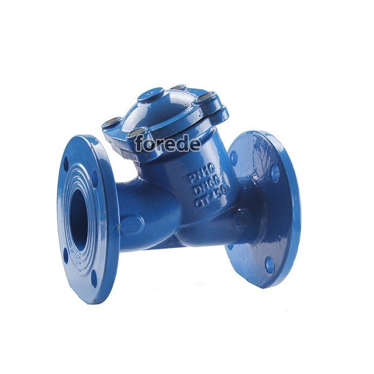 Strainer Check Valve