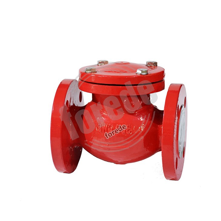 Swing Check Valve 2 1/2