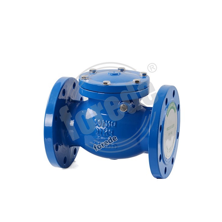 Swing Check Valve 2 1/2