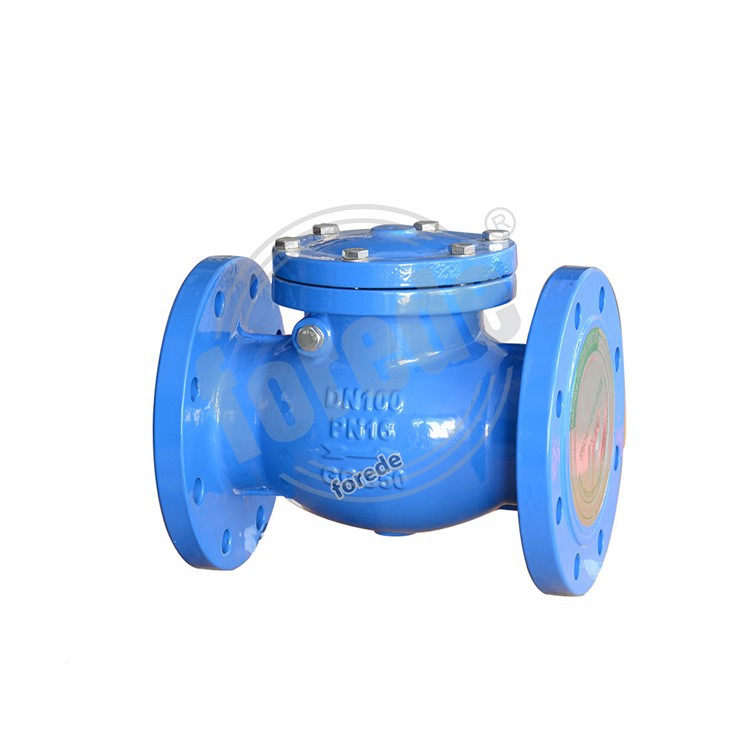 Swing Check Valve 2 1/2
