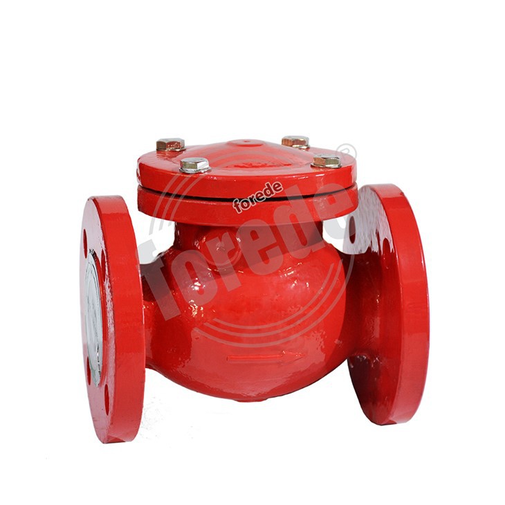 Swing Check Valve 2 1/2