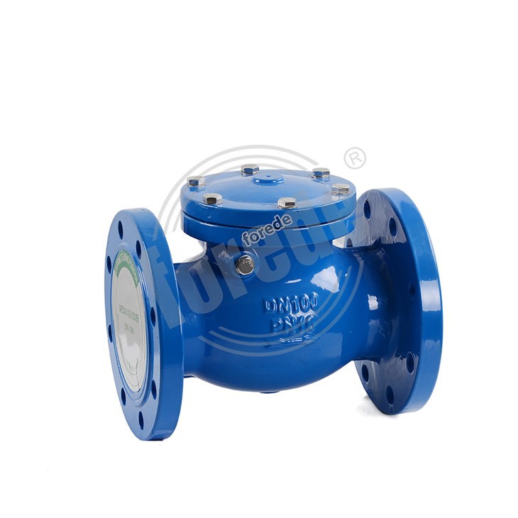 Swing Check Valve 2 1/2
