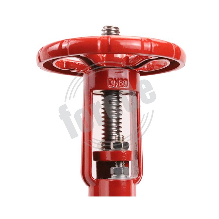 Groove End Ductile Iron Rising Stem Gate Valve