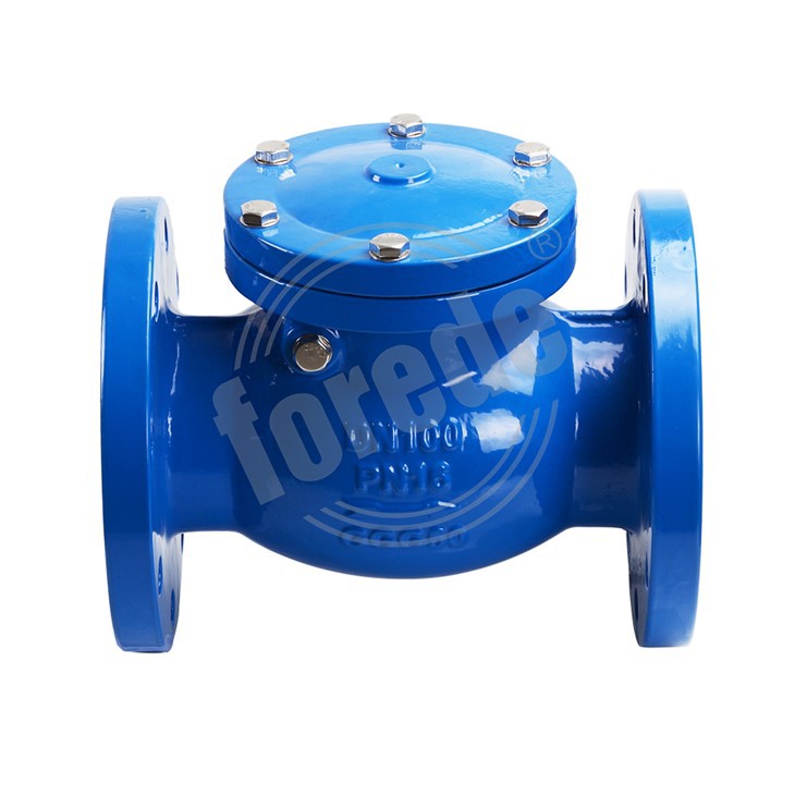 Stainless Steel Swing Check Valve factory