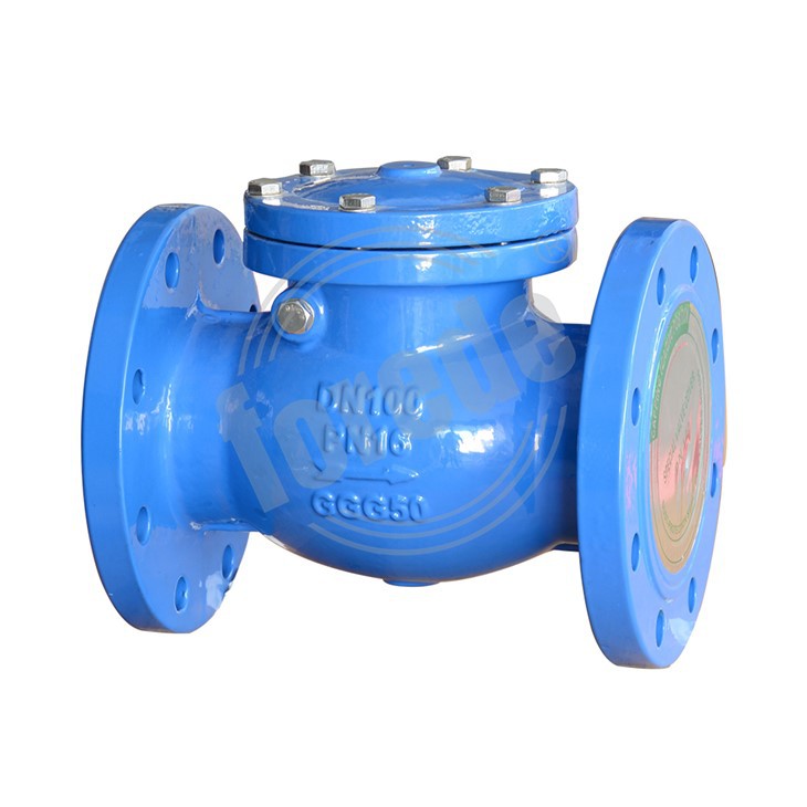 Swing Check Valve Flanged best