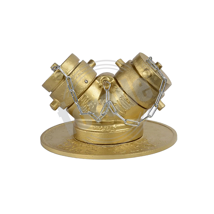 Siamese Connection Clapper Valve