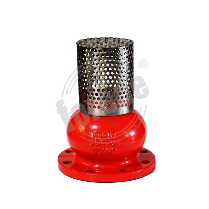 Cast Iron Flanged Foot Valve