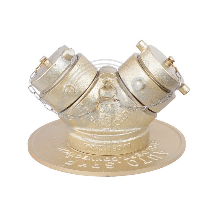 Fire Department Connection