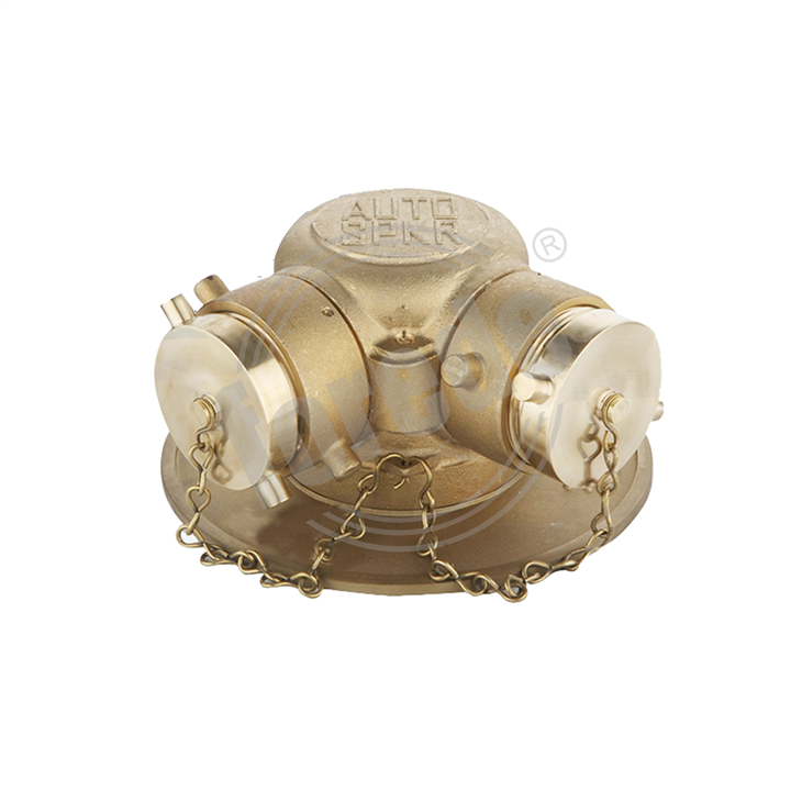 Fire Department Connections