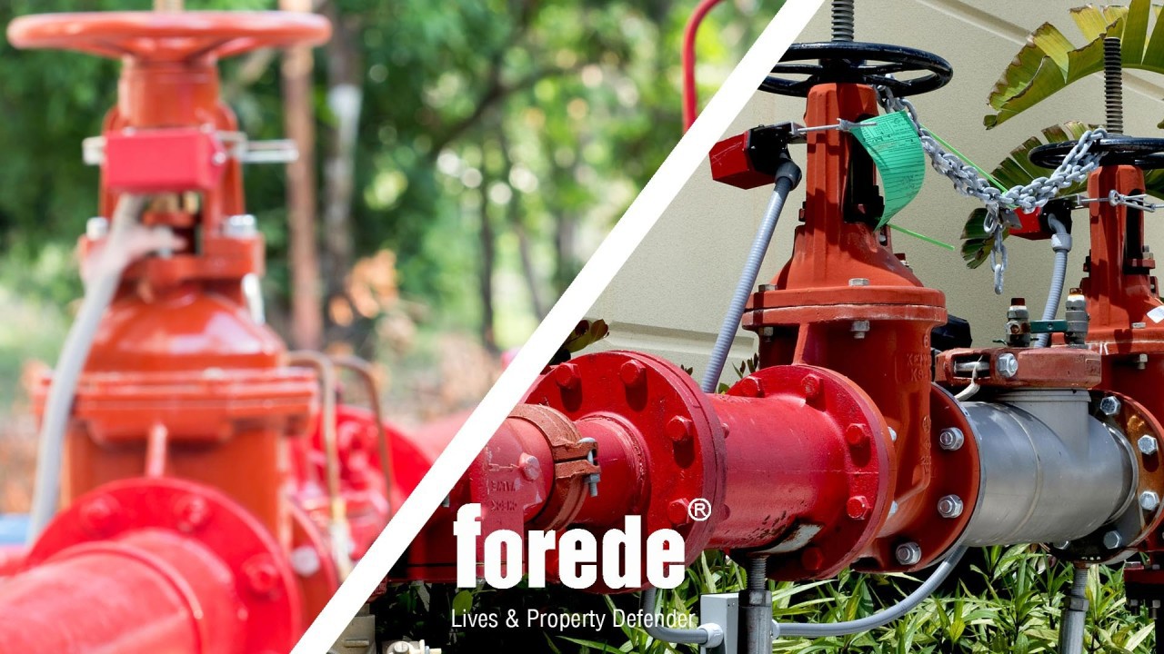 1739952480264 1739952480264