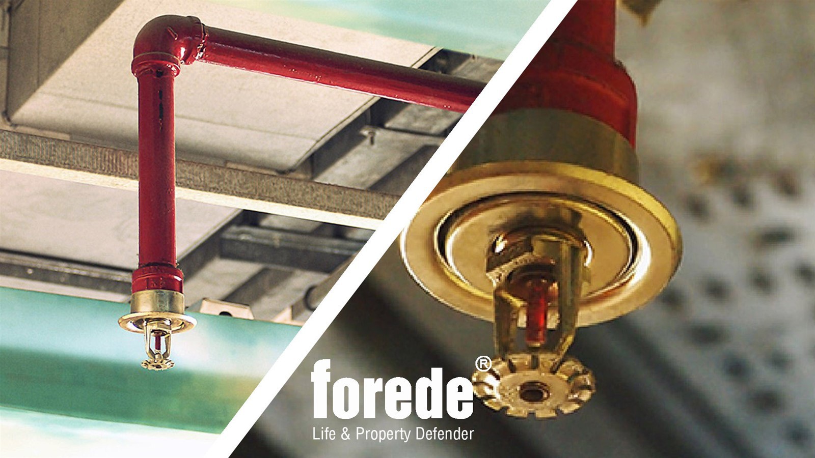 info-1600-900 info-1600-900