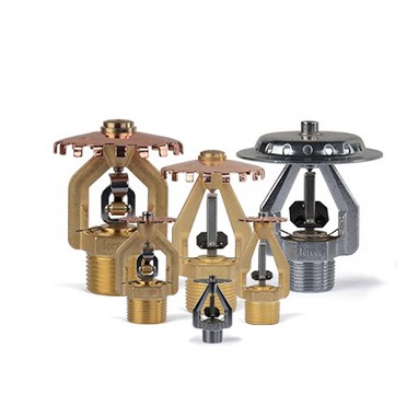 product-382-382 product-382-382