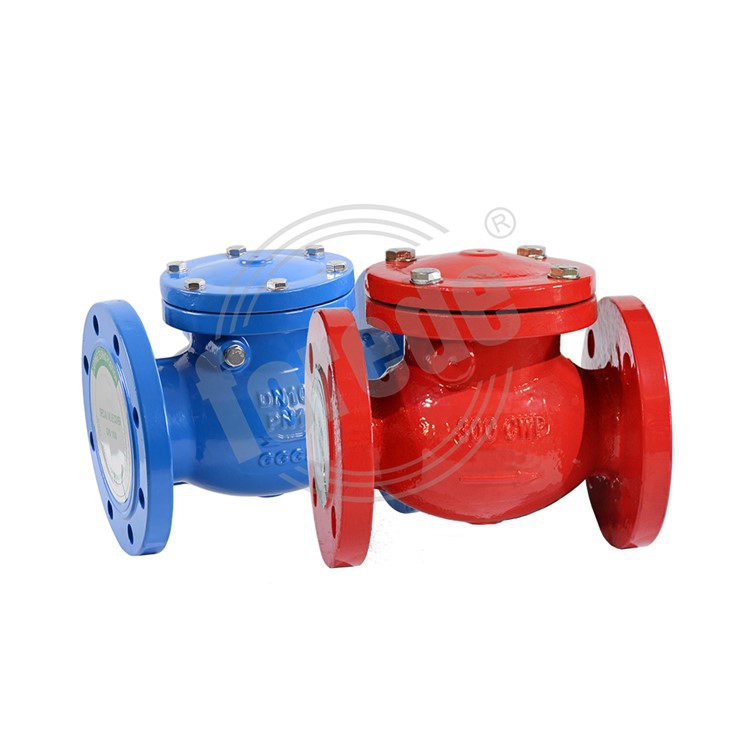 Swing Check Valve 2 1/2
