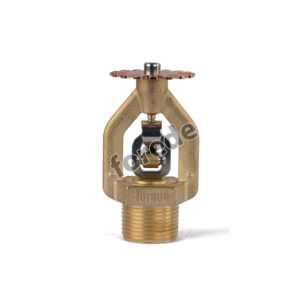 product-1000-1000 product-1000-1000