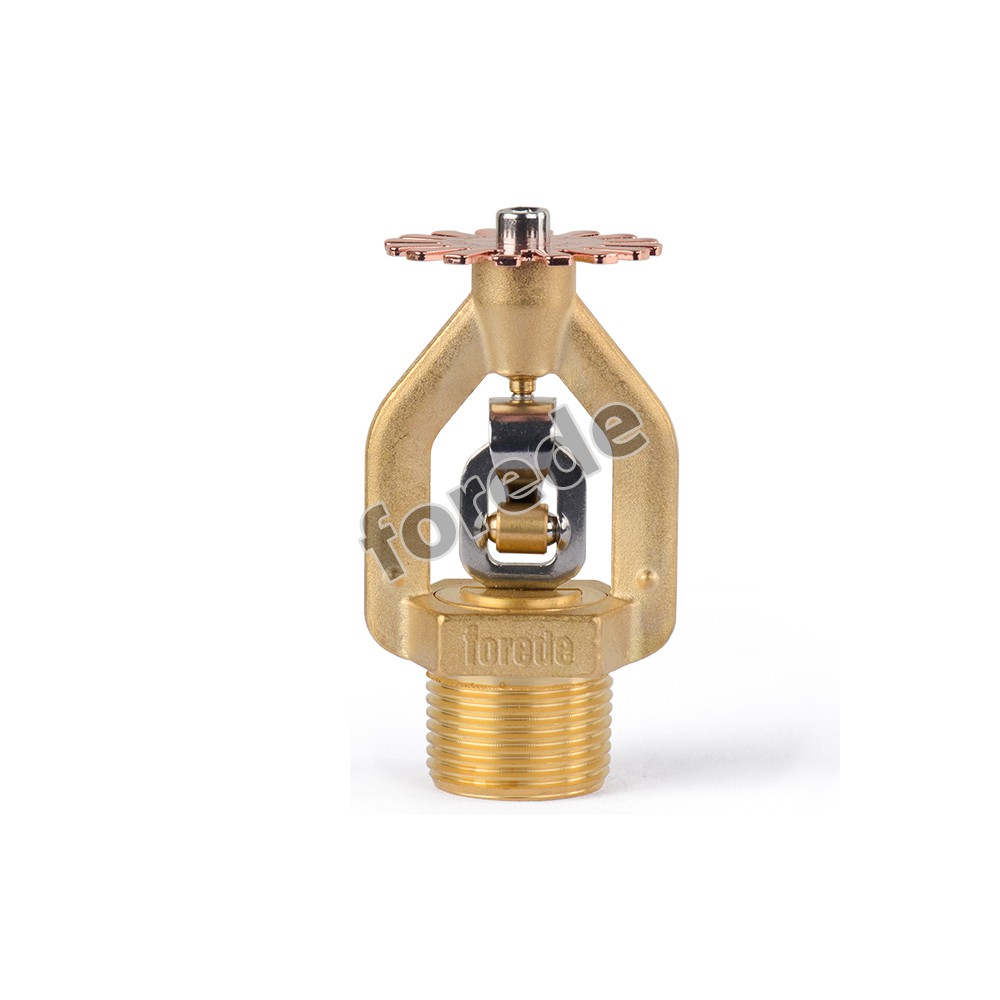 product-1000-1000 product-1000-1000