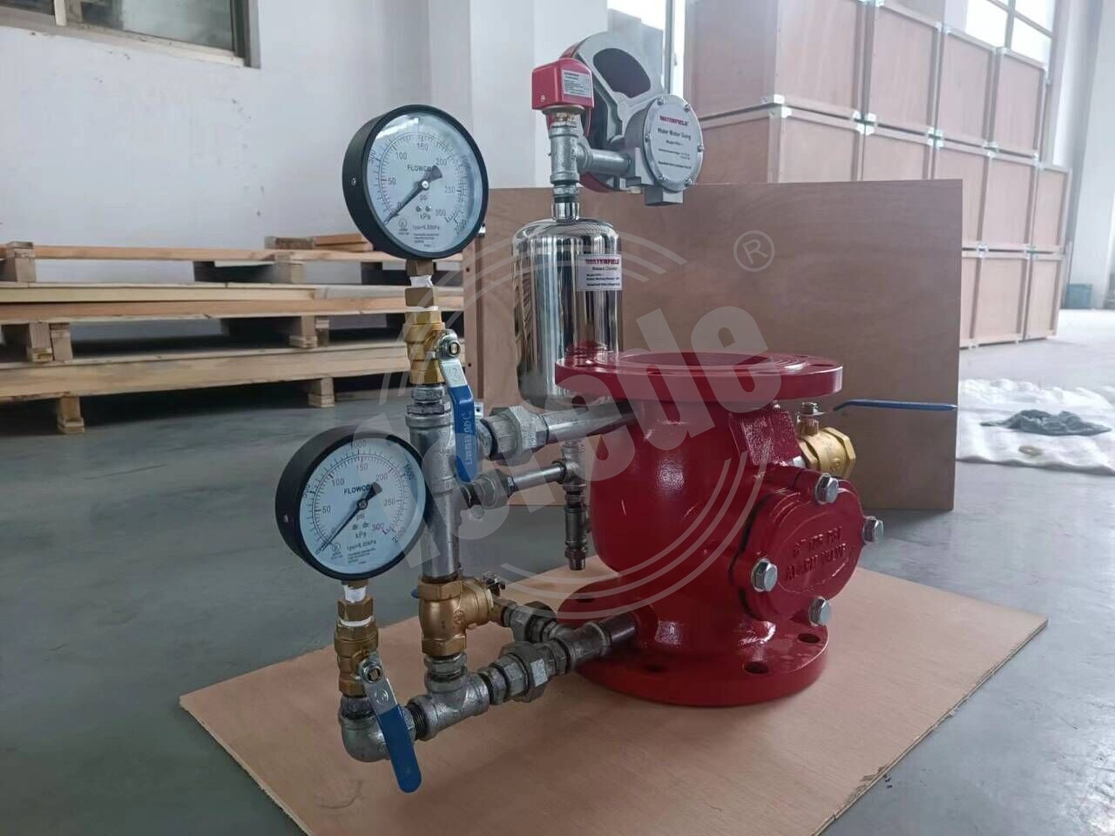 QQ20240228134938 QQ20240228134938