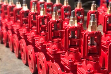 product-377-307 product-377-307