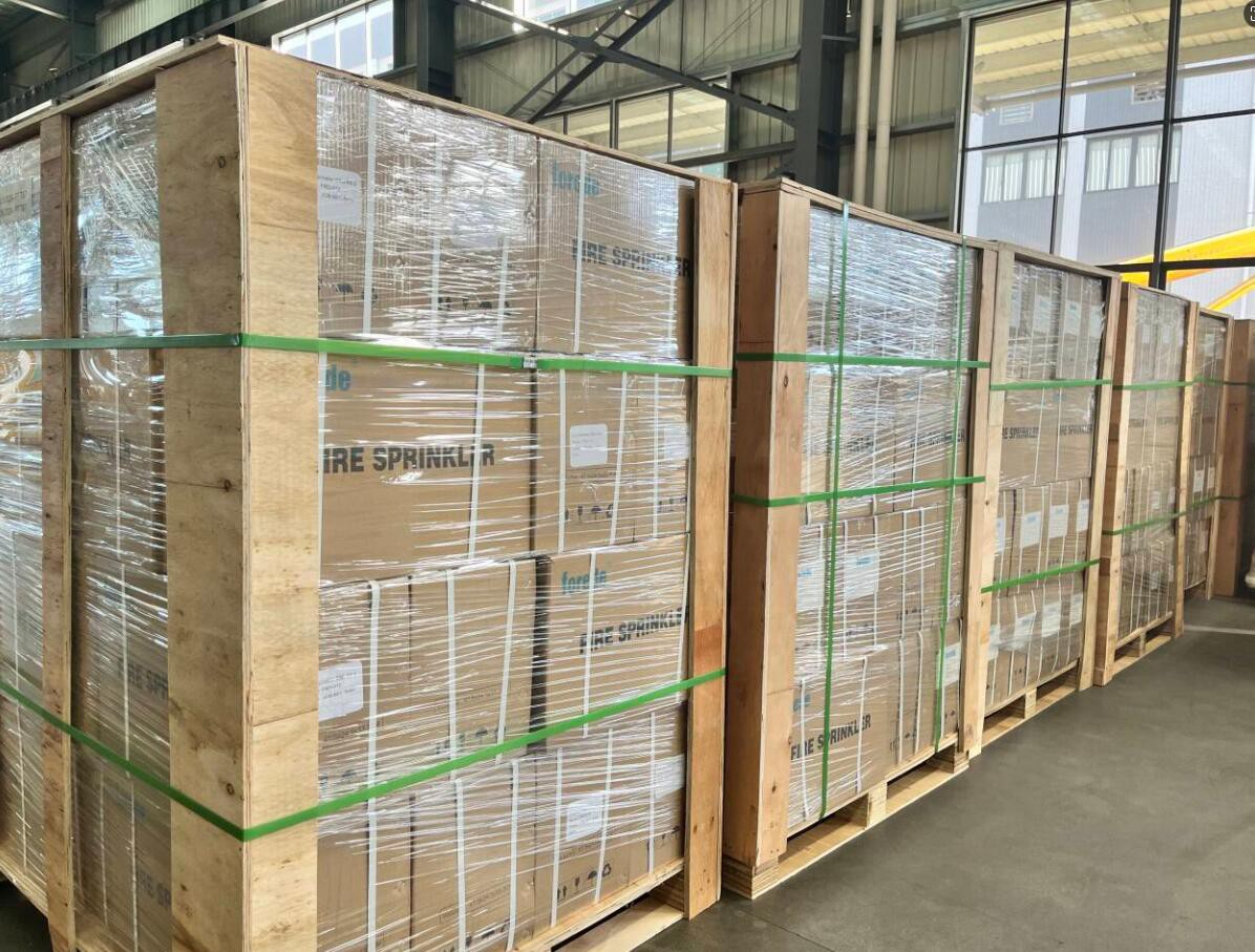 QQ20240920131304 QQ20240920131304