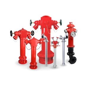 product-300-300 product-300-300