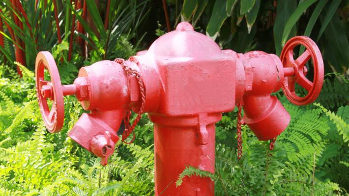 QQ20241111151813 QQ20241111151813