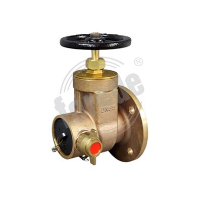 Messing-Trockensteig-Landeventil mit Flansch