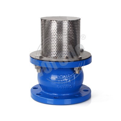 Flanschende-Fußventil aus duktilem Gusseisen