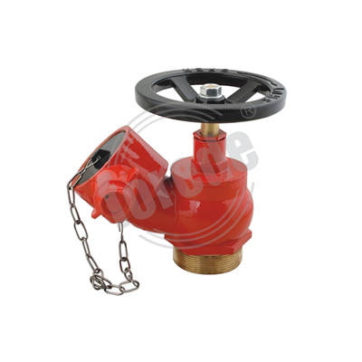 Schräglandeventil mit Gewinde