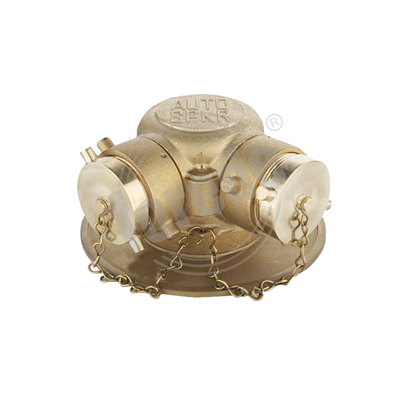 Y siamesischer Wasserteiler