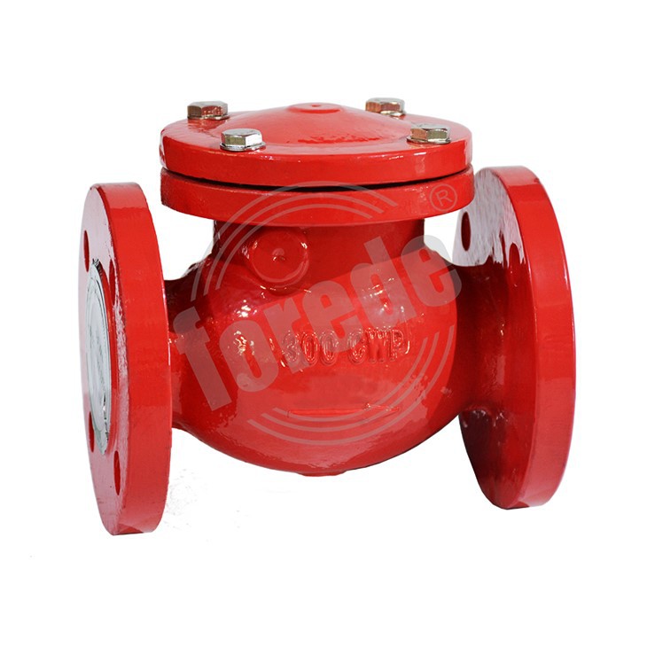 Swing Check Valve Flanged
